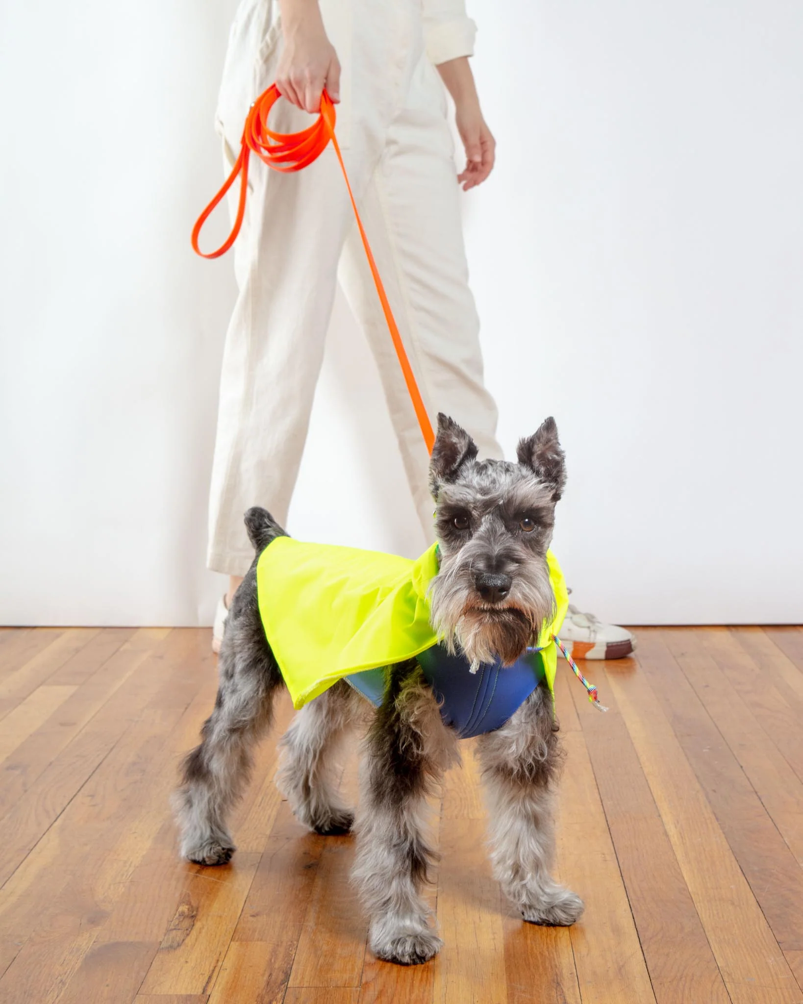 Action Jacket Dog Pull-On Raincoat in Safety Yellow + Blue (Made in NYC) - Image 4