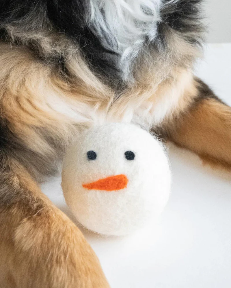 Winter Wool Beastball Dog Toy - Image 2